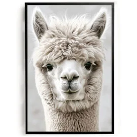 Poster alpaca schattig dieren woonkamer slaapkamer kantoor inspiratie