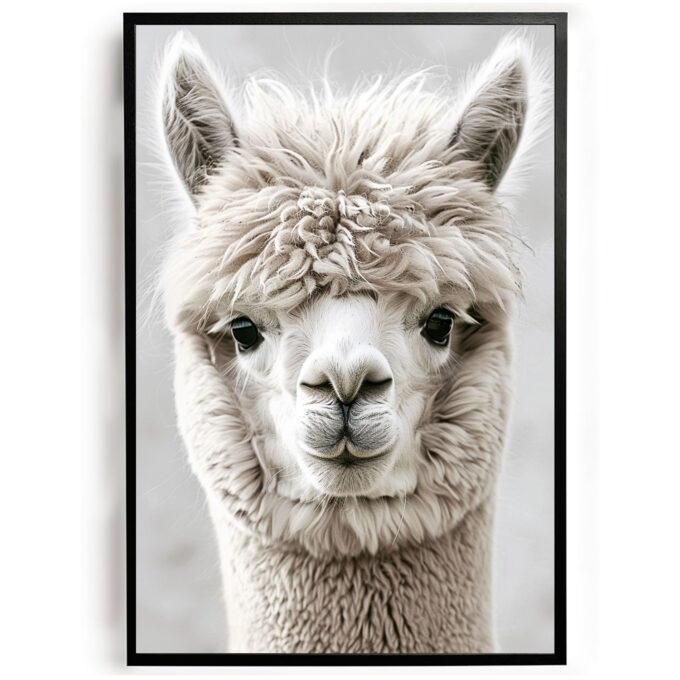 Poster alpaca schattig dieren woonkamer slaapkamer kantoor inspiratie