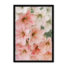 bloemen-roze-rose-vintage-close-up--Posters-woonkamer-slaapkamer-kinderkamer-keuken-ideeen-inspiratie-goedkoop-store