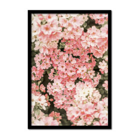 bloemen-hortensia-roze-vintage-oud--Posters-woonkamer-slaapkamer-kinderkamer-keuken-ideeen-inspiratie-goedkoop-store