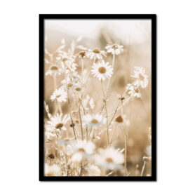 bloemen-wit-margriet-Posters-woonkamer-slaapkamer-kinderkamer-keuken-ideeen-inspiratie-goedkoop-store