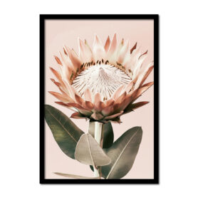 close-up-bloem--Posters-woonkamer-slaapkamer-kinderkamer-keuken-ideeen-inspiratie-goedkoop-store