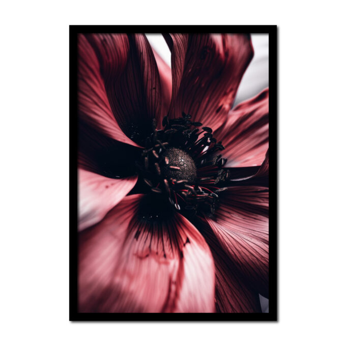 close-up-bloem-rood-vintage-Posters-woonkamer-slaapkamer-kinderkamer-keuken-ideeen-inspiratie-goedkoop-store