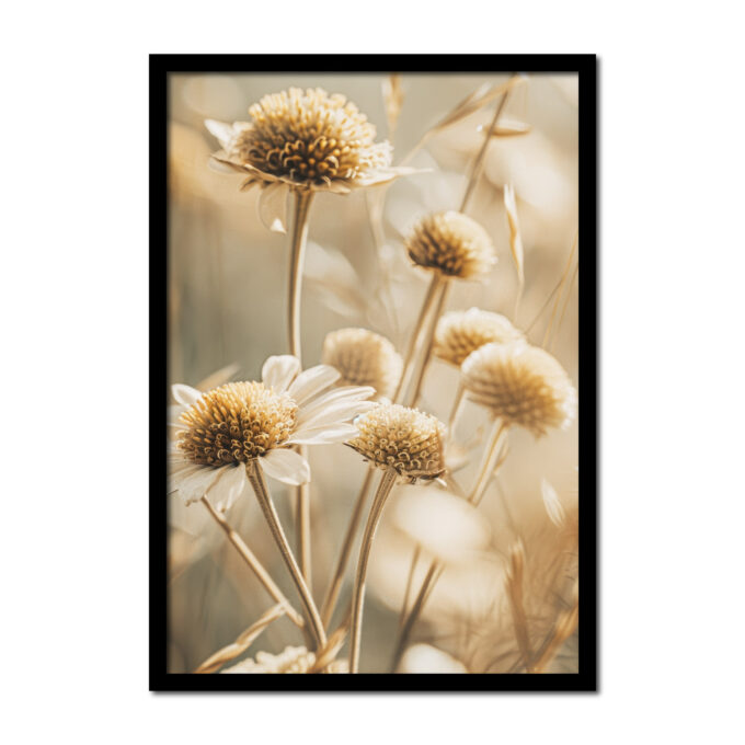 close-up-foto-vintage-bloemen-margriet-veldbloem--Posters-woonkamer-slaapkamer-kinderkamer-keuken-ideeen-inspiratie-goedkoop-store