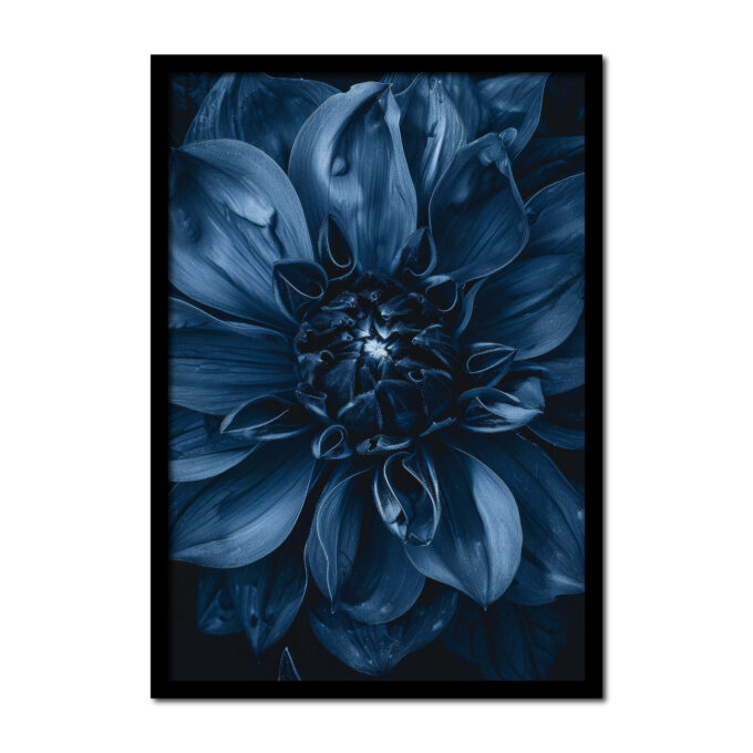 dahlia-blauw-Posters-woonkamer-slaapkamer-kinderkamer-keuken-ideeen-inspiratie-goedkoop-store