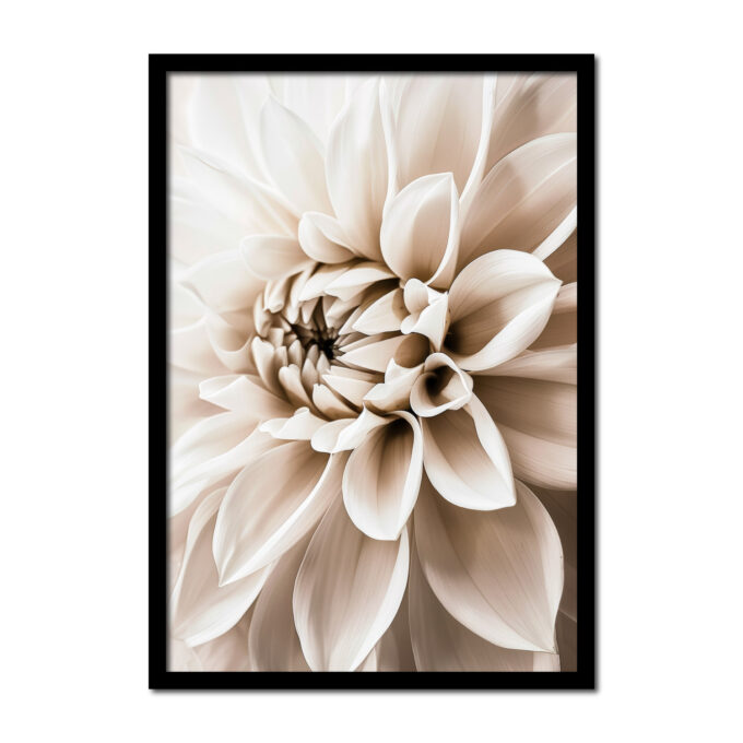 dahlia-wit-close-up-vintage--Posters-woonkamer-slaapkamer-kinderkamer-keuken-ideeen-inspiratie-goedkoop-store