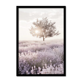 lavendel-veld-met-boom-vintage-grijs-Posters-woonkamer-slaapkamer-kinderkamer-keuken-ideeen-inspiratie-goedkoop-store