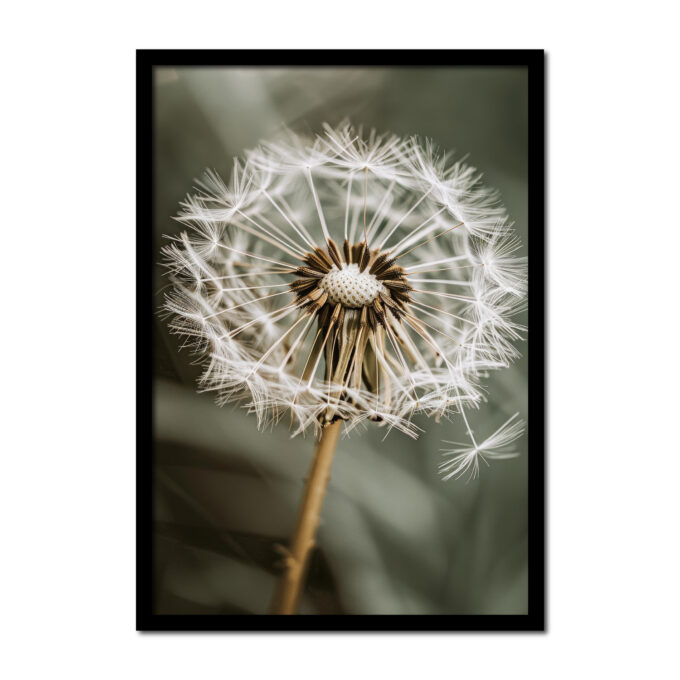 paardenbloem-close-up-Posters-woonkamer-slaapkamer-kinderkamer-keuken-ideeen-inspiratie-goedkoop-store