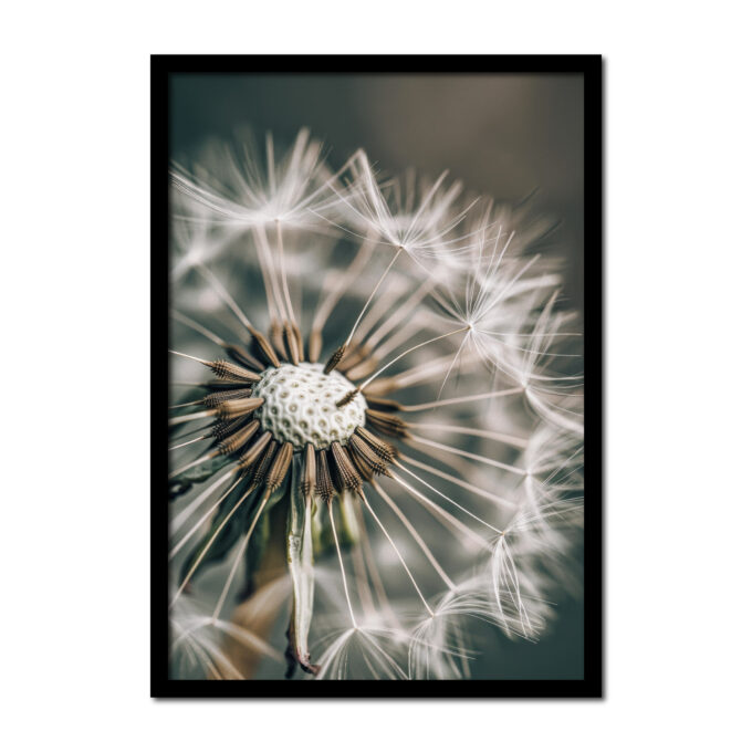 paardenbloem-close-up-Posters-woonkamer-slaapkamer-kinderkamer-keuken-ideeen-inspiratie-goedkoop-store