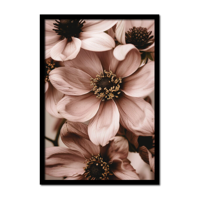 poster-bloemen-close-up-margriet-gerbera-germina-achtig-roze-oud--Posters-woonkamer-slaapkamer-kinderkamer-keuken-ideeen-inspiratie-goedkoop-store