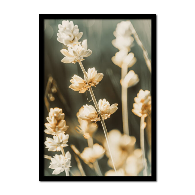 poster-close-up-grassoort-siergras-plant-bloem-Posters-woonkamer-slaapkamer-kinderkamer-keuken-ideeen-inspiratie-goedkoop-store