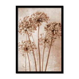 vintage-stijl-alium-bloem-gedroogd-bruin-wit-zwart-Posters-woonkamer-slaapkamer-kinderkamer-keuken-ideeen-inspiratie-goedkoop-store