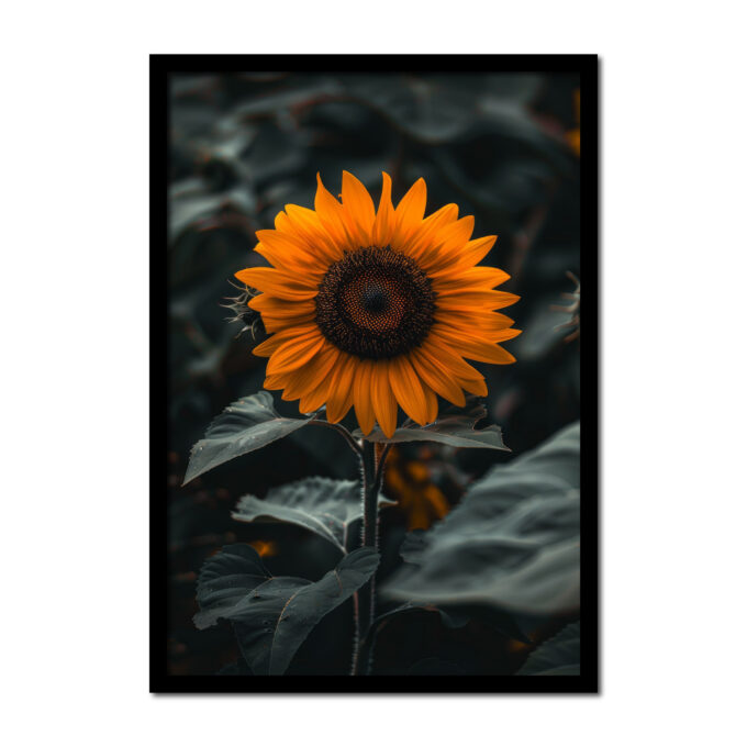 zonnebloem-Posters-woonkamer-slaapkamer-kinderkamer-keuken-ideeen-inspiratie-goedkoop-store