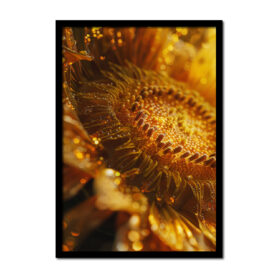 zonnebloem-close-up-nectar-honing-Posters-woonkamer-slaapkamer-kinderkamer-keuken-ideeen-inspiratie-goedkoop-store